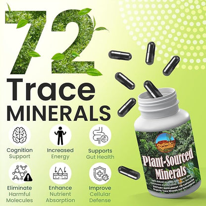 Fulvic Humic Mineral Blend of Plant-Sourced Trace Minerals, Electrolytes, Gut Health, Cognitive & Immune Support, Pure Vitality Formula for Strength - - 120 Capsules