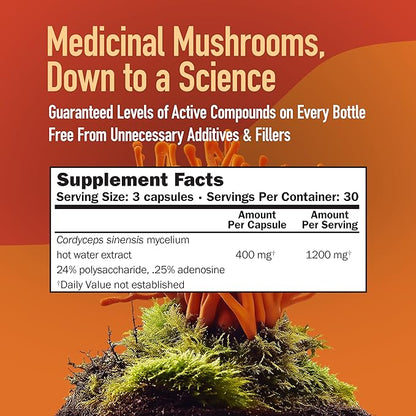 Cordyceps CS-4 Capsules, Full Spectrum Extract for Health, Energy & Endurance, Hot Water Extracted, Vegetarian, 400mg, 90 CT