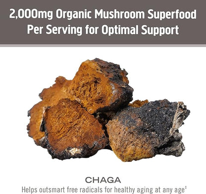 OM MUSHROOM SUPERFOOD Chaga Organic Mushroom Powder, 7.05 Ounce Pouch, 100 Servings, US Grown, Sacred Antioxidants & Immune Support, Superfood Mushroom Supplement