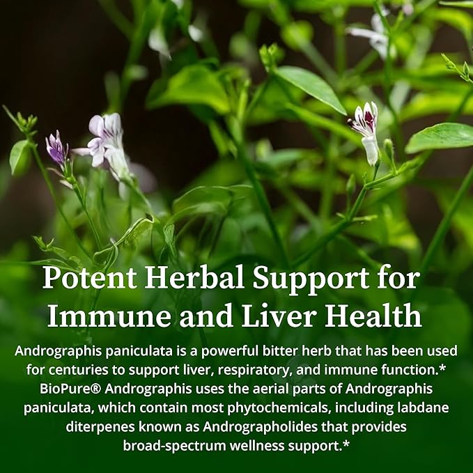 BioPure Andrographis – Organic Herbal Extract of Andrographis paniculata with Andrographolides for Immune System, Liver Health, Respiratory Support, Microbiome Balance, & Overall Wellness – 2 fl oz