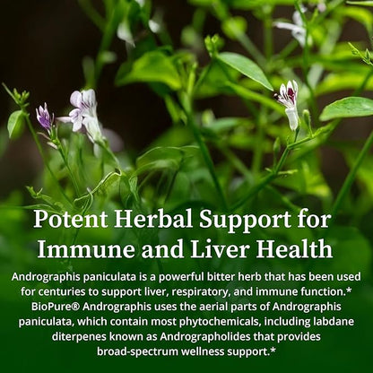 BioPure Andrographis – Organic Herbal Extract of Andrographis paniculata with Andrographolides for Immune System, Liver Health, Respiratory Support, Microbiome Balance, & Overall Wellness – 2 fl oz