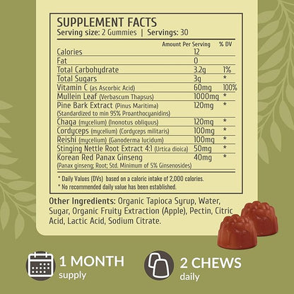 HERBAMAMA Lung Detox Gummies - Herbal Complex with Mushroom Blend for Lung Cleanse - Vegan, Non-GMO Respiratory Support Supplement - 60 Pectin-Based Apple-Flavored Chews