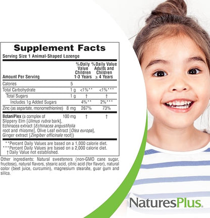 Natures Plus Animal Parade KidZinc, Tangerine Flavor - 90 Animal-Shaped Lozenges - Organically Chelated Zinc - Vegan, Gluten Free - 90 Servings