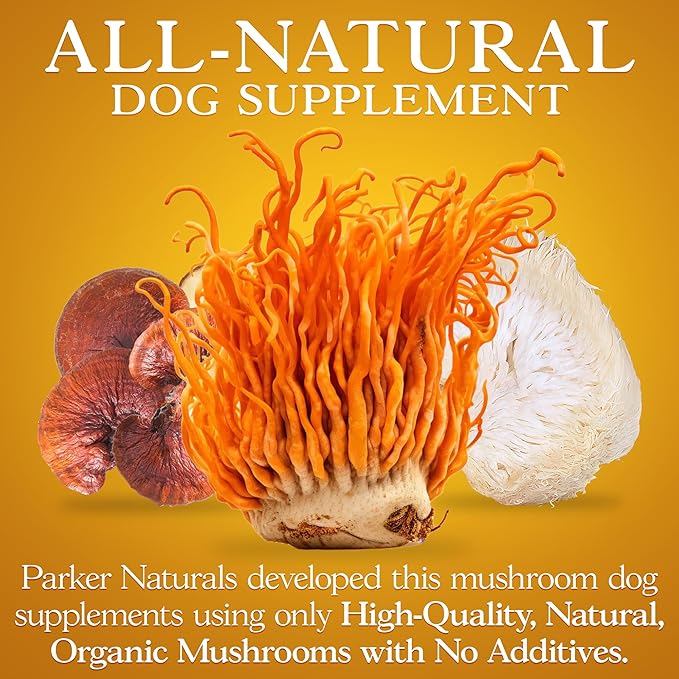 Mushroom Complex Capsules, Premium Lions Mane, Cordyceps, and Reishi Mushroom Supplement, Maximum Strength Organic Mushrooms Supplement, 90 Capsules
