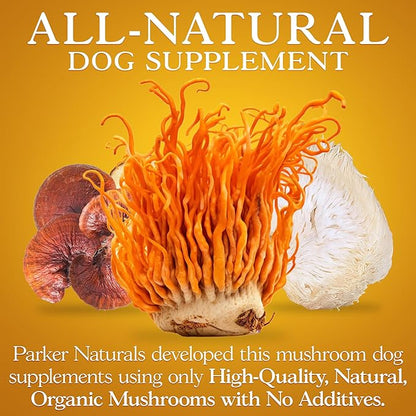 Mushroom Complex Capsules, Premium Lions Mane, Cordyceps, and Reishi Mushroom Supplement, Maximum Strength Organic Mushrooms Supplement, 90 Capsules