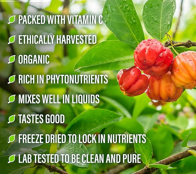 Perfect Supplements – Perfect Acerola Powder – 156 Grams – 100% Pure Acerola Cherry – All-Natural Vitamin C Superfood – Immune System Support