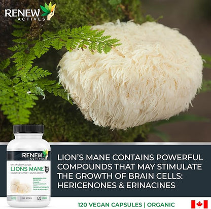 Renew Actives Premium Organic Lion's Mane Mushroom 1100MG per 2 Capsules - Supports Brain Function, Memory, Focus, Stress Relief & Immune Health, Non-GMO, Vegan - Made in Canada - 120 Capsules