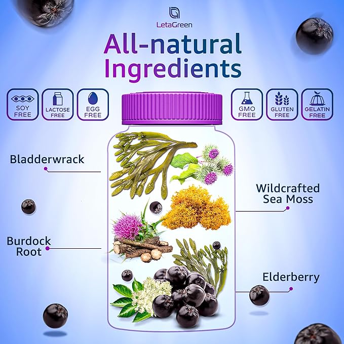 Irish Sea Moss and Black Seed Oil Gummies Bundle – 120 Vegan Gummies Bears - Elderberry for Kids & Adults - Nigella Sativa with Ashwagandha & Honey