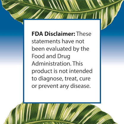 Omega 3 Fish Oil 2000mg HIGH Potency 800mg EPA DHA 600mg BURPLESS Supplement Non GMO Omega 3 Fatty Acid Supplements HIGH DOSE Fish Oil for Dogs Cats Humans Made in USA
