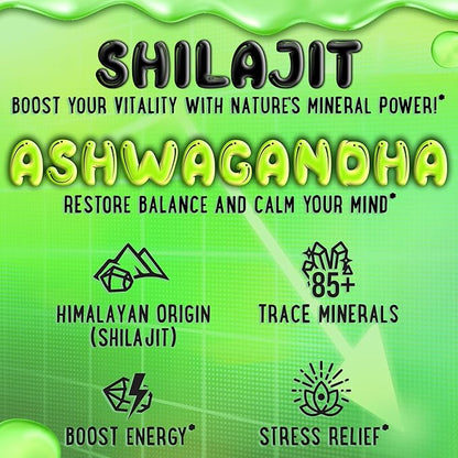 Pure Himalayan Shilajit Gummies - 100% Authentic Shilajit Reisin Extract for Men and Women with Ashwagandha and Shatavari - 60 Gummy - Apple & Kiwi and Peach & Mango Bundle