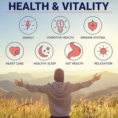 Premium Mushroom Gummies for Adults - Lion's Mane Supplement Gummy with Turkey Tail, Shiitake, Cordyceps, Reishi, Chaga, Maitake Mushroom Gummy - Energy Nootropics Brain Support Supplement