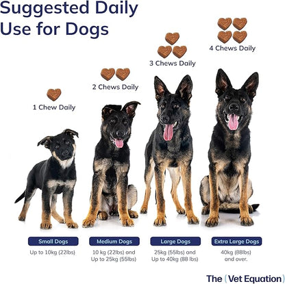 Omega Multifunctional for Dogs – Duck-Flavored, 90 Chews – with Marine Sourced Omega-3s – Supports Joint, Skin, Coat & Immune Health