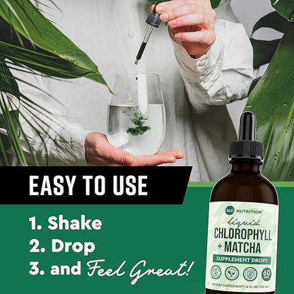 360 Nutrition Matcha Chlorophyll Liquid Drops with L-Theanine, Gluten Free & Vegan Internal Deodorant Supplement, Supports Gut Health, Digestion, Energy, Radiant Skin, Fast Absorption, 60 Servings