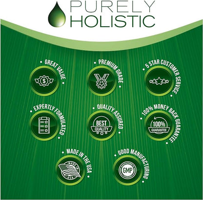 Purely Holistic Organic Elderberry Syrup for Adults & Kids (2+) - 16 fl oz - with Black Sambucus Elderberry, Propolis, Echinacea, Raw Honey & Apple Cider Vinegar - Immune Support and Immune Booster