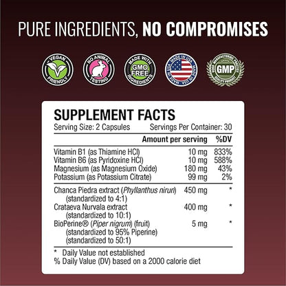 Approved Science Stonexyl - Herbal Support for Kidney Stones - 60 Capsules - Chanca Piedra - High Absorption -1 Month Supply - Vegan