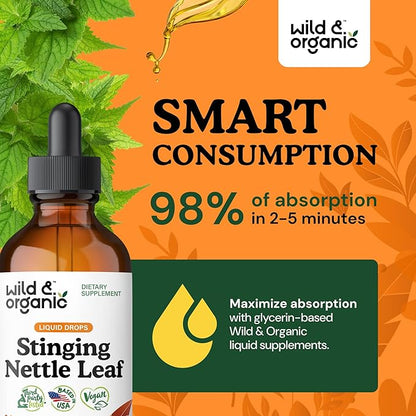 Wild & Organic Stinging Nettle Leaf Tincture - Urinary Tract Support - Stinging Nettle Extract Liquid Drops - Urtica Dioica Supplement - 5-Month Supply - Vegan, Sugar & Alcohol-Free - 4 fl oz