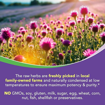 4-in-1 Milk Thistle Complex, 9000 mg Strength, 30X Concentrated Seed Extract, with Dandelion, Choline, Zinc, Fatty Liver Supplements, Liver Support, Non-GMO, 90 Veggie Caps, 3 Month Supply