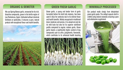 Organic Green Garlic, Potent Softgels, Wholesome, Reduced Odor.