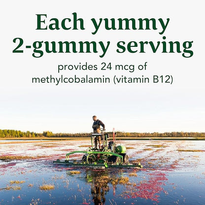 MegaFood Vitamin B12 Energy Gummies - Vegan - With Methyl B12 Vitamins to Support Cellular Energy Production - Cranberry - Daily Vitamin B12 Supplement - USDA Organic - 70 Gummies, 35 Servings