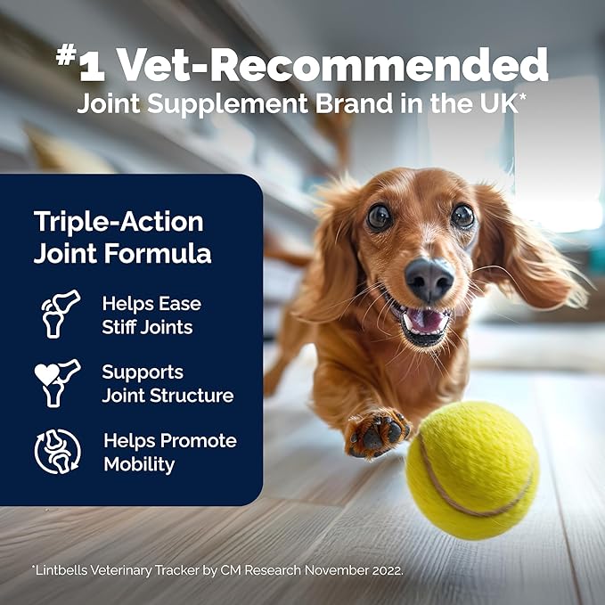 Dog Joint Supplement, Hip and Joint Supplement for Dogs with Glucosamine, Hyaluronic Acid, and Green Lipped Mussel and Omegas, Relief for Dog Hip and Joint Aches and Stiffness, by YuMOVE - 150 Bites