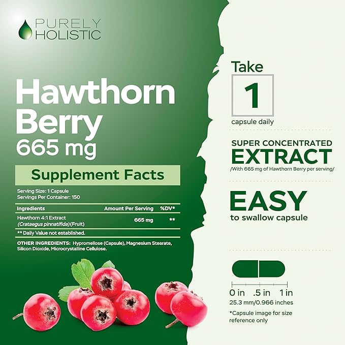 Purely Holistic Hawthorn Berry - 150 Vegan Capsules - 5 Month Supply - High Strength 4:1 Extract - Non-GMO Hawthorne Supplement - Supports Cardiovascular & Digestive Health