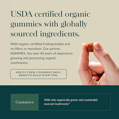 Gaia Herbs Lion's Mane Mushroom - Natural Brain Support Supplement - Made with Organic Lion's Mane Mushrooms - Free from Gluten, Soy & Dairy - 60 Vegan Gummies (30 Servings)