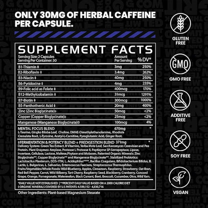 Gains in Bulk Elevated Nootropic Herbal Energy Supplements with Ginkgo Biloba, B Vitamins, DMAE, Clean Energy & Focus Supplement, Supports Digestive Health, Cognitive Brain Health, Vegan, 60 Capsules