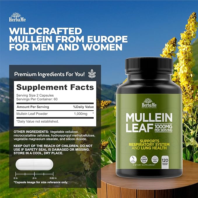 Mullein Leaf 1000mg, 120 Capsules, Lung Detox for Smokers, Lung Cleanse Supplement, Supports Respiratory Function Health, Promotes Mucous Membranes | Ear Health, Mucus Relief Herbal Pills