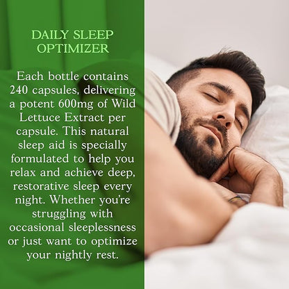 Wild Lettuce Extract – Herbal Sleep Supplement 1200mg, 4:1 Concentrated, Vegan Capsules, Soothes Discomfort, 120 Servings, 240 Count