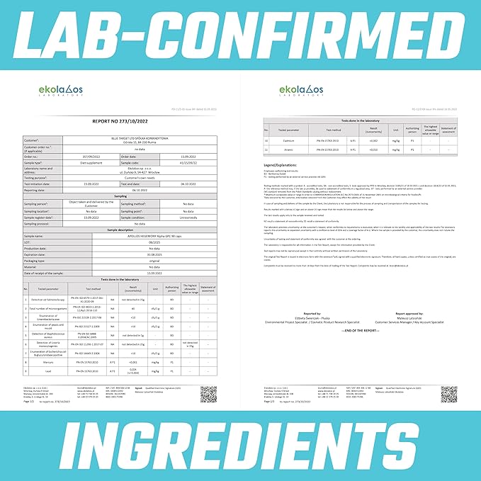 APOLLO'S HEGEMONY Alpha-GPC 600mg per Daily Dose - 90 Vegan Choline Capsules - 99% Choline Alfoscerate Dietary Supplement - Lipid Choline - Memory and Concentration Capsules