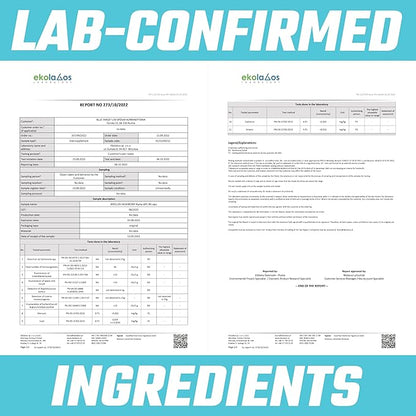 APOLLO'S HEGEMONY Alpha-GPC 600mg per Daily Dose - 90 Vegan Choline Capsules - 99% Choline Alfoscerate Dietary Supplement - Lipid Choline - Memory and Concentration Capsules