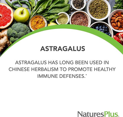 NaturesPlus Herbal Actives Astragalus - 60 Capsules - Immune System Support - Vegan, Gluten Free - 60 Servings
