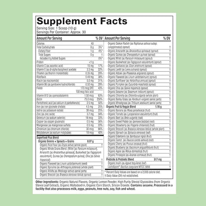 Purely Inspired Organic Green Powder Smoothie Mix, Tropical Mango Iced Tea Flavor (30 Servings) - Probiotics for Digestive Health with Spirulina & Chlorella for Gut Health - Vegan & Gluten-Free