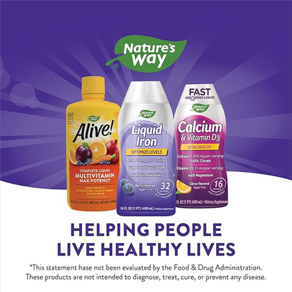 Nature's Way Liquid Iron, Provides Daily Value of Iron, Sugar Free, Berry Flavored, 16 Fl. Oz. (Pack of 2)