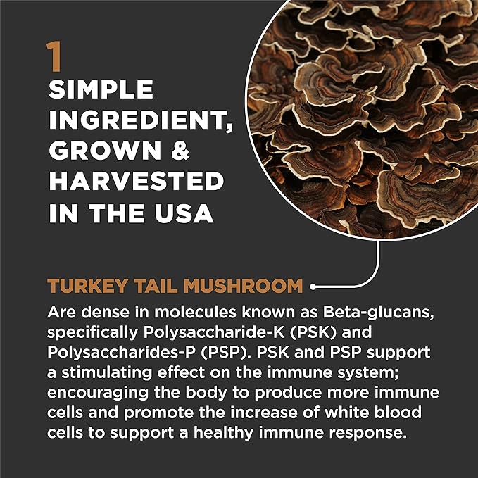 Super Snouts Turkey Tail Mushroom Supplement Powder for Dogs & Cats (2.64 oz) - Organic, Made in USA Antioxidant & Inflammation Support, Immune Support