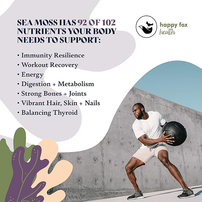 Purple Immunity Bundle - Organic Sea Moss Raw Purple & Organic Irish Sea Moss Capsules with Sambucus Elderberry for Immunity Defense, Vitamins C, D3, B9, B12, & Iron, 90 Count