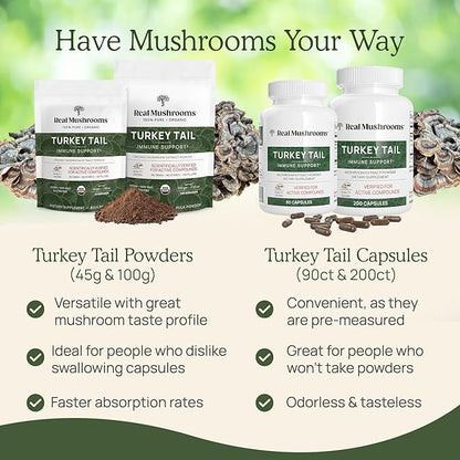Real Mushrooms Turkey Tail Capsules - Organic Mushroom Supplement with Potent Extract for Gut, Energy, Brain, Immune Support Vegan Extract, Non-GMO, 90 Caps