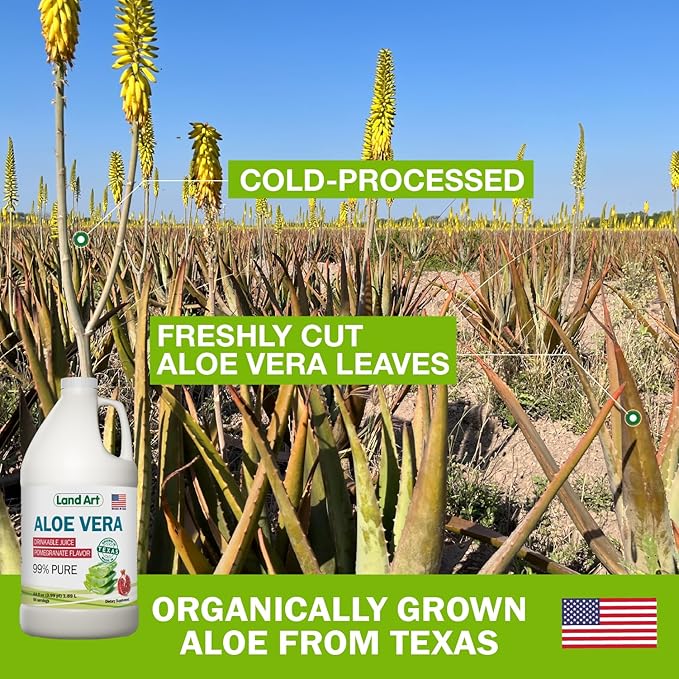 Land Art Aloe Vera Juice - Pomegranate Flavored - Cold Processed - Inner Filet from Organic Fresh Leaves - 64floz + Liquid Chlorophyll Mint Flavored - Cold Extracted from Wild Non-GMO Alfalfa - 16floz