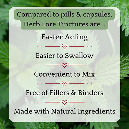 Herb Lore Organic Dandelion & Nettle Tincture - Liquid Dandelion Leaf & Stinging Nettle Leaf Extract Drops (2 fl oz)