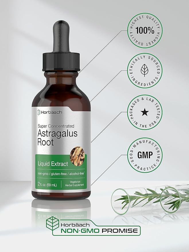 Horbäach Astragalus Root Extract Liquid | 2 fl oz | Alcohol Free Tincture | Super Concentrated | Vegetarian, Non-GMO, Gluten Free Supplement