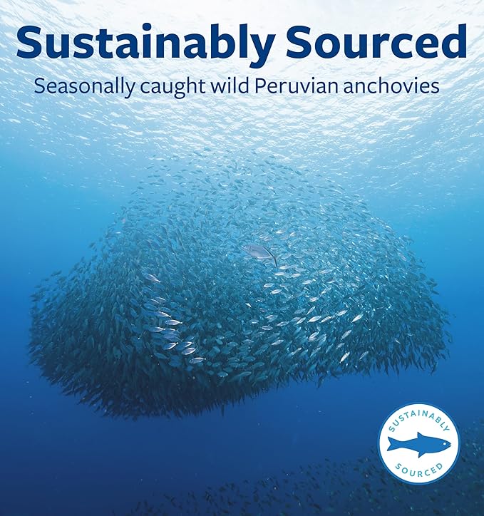 Purified Omega 7 Softgels (1 Month Supply) More Omega 7 & Less Palmitic Acid Than Sea Buckthorn Oil - Provinal Sustainable Peruvian Anchovy Fish Oil Supplement - Non-GMO & Gluten Free - 30 Capsules