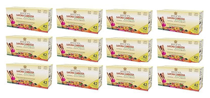 HYLEYS Tea Garcinia Cambogia Green Tea with Assorted Flavors - 42 Tea Bags (12 Pack - 504 Tea Bags Total)