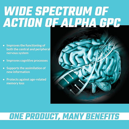 APOLLO'S HEGEMONY Alpha-GPC 600mg per Daily Dose - 90 Vegan Choline Capsules - 99% Choline Alfoscerate Dietary Supplement - Lipid Choline - Memory and Concentration Capsules