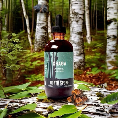 North Spore Chaga Mushroom Tincture | Energy & Wellness Boosting Supplement Drops | Adaptogenic Superfood | Dual Extract Organic Blend, 100% Fruiting Bodies | Non-GMO, Vegan - 2oz