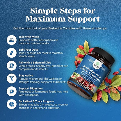 Balancing Berberine Plus 1200mg Per Serving Complex - Antioxidant Berberine with Ceylon Cinnamon Capsules Plus Silymarin Milk Thistle Extract -Active PK for Heart Health and Sugar Support 120 Capsules