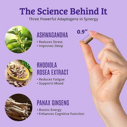 Dr. Matthew Cortisol Reducer Supplement for Women. Adrenal Support with Ashwagandha, Rhodiola & Ginseng – A Detox Cocktail to Lower Cortisol & Aid Relaxation, Calm and Restful Sleep