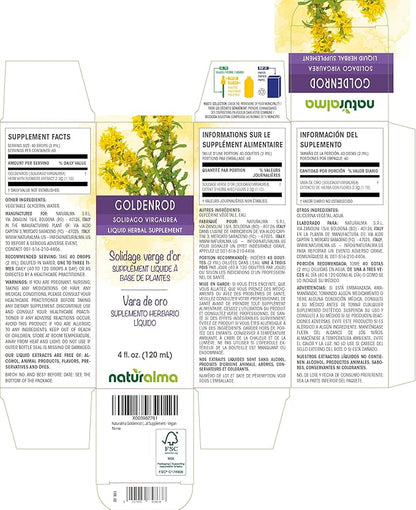 Naturalma Goldenrod (Solidago virgaurea) herb with Flowers Alcohol-Free Tincture - 4 fl oz Liquid Extract in Drops - Herbal Supplement - Vegan
