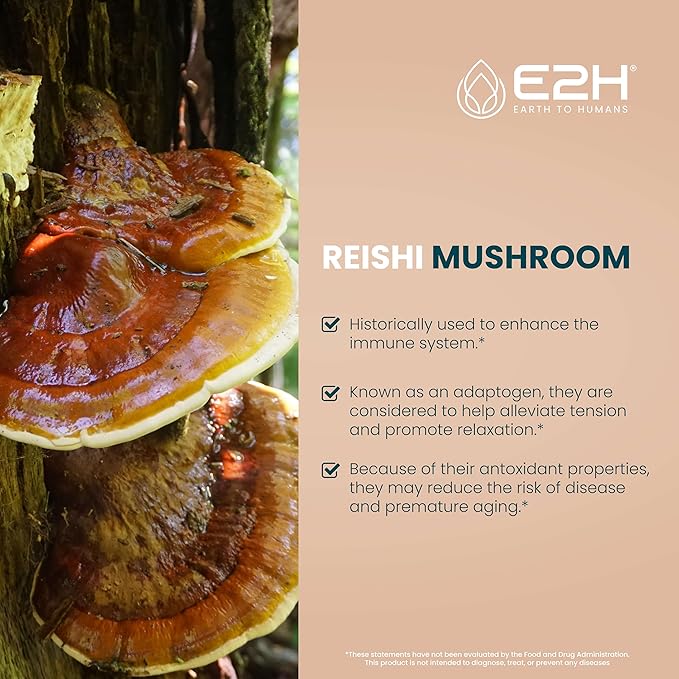 E2H Reishi Mushroom Extract - All-Natural Energy, Vitality and General Wellness Support from Advanced Mushroom Supplement - Reishi Mushrooms Supplement - Non-GMO, Vegan (2 Bottles)