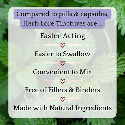 Herb Lore Organic Dandelion & Nettle Tincture - Liquid Dandelion Leaf & Stinging Nettle Leaf Extract Drops (4 fl oz)