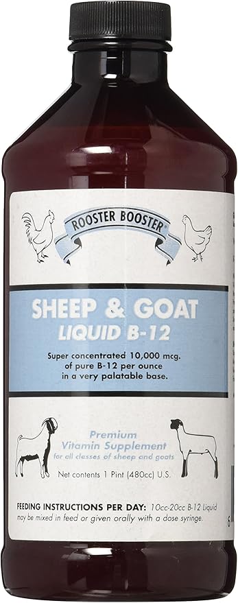 Rooster Booster B-12 Sheep and Goat Liquid, 16-Ounce